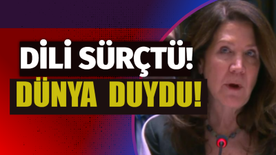 BM Güvenlik Konseyi’nde tarihi anlar yaşandı! Amerika Birleşik Devletleri’nin Birleşmiş