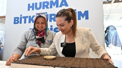 Antalya B&uuml;y&uuml;kşehir Belediyesi Park ve Bah&ccedil;eler Dairesi Başkanlığı Fide ve