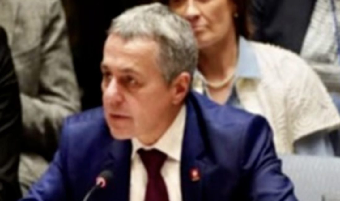 İsvi&ccedil;re Dışişleri Bakanı Ignazio Cassis, Polonya Parlamentosu Başkanı Szymon Holownia