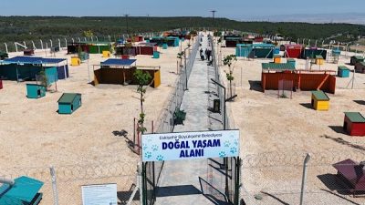 Eskişehir B&uuml;y&uuml;kşehir Belediyesi tarafından, Sarısungur Mahallesi&rsquo;nde hizmete giren Hayvan Bakımevi