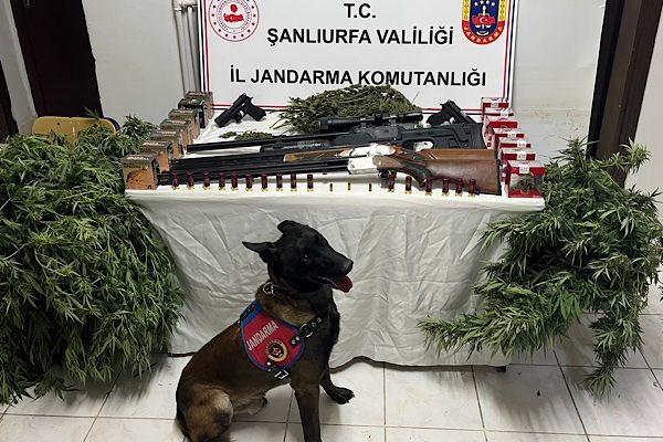Şanlıurfa İl Jandarma Komutanlığı tarafından 13 Eyl&uuml;l 2025 tarihinde Harran
