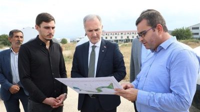 Akhisar Mahallesi Akkanal Sokak &uuml;zerinde ise 825 adet ağacın yer