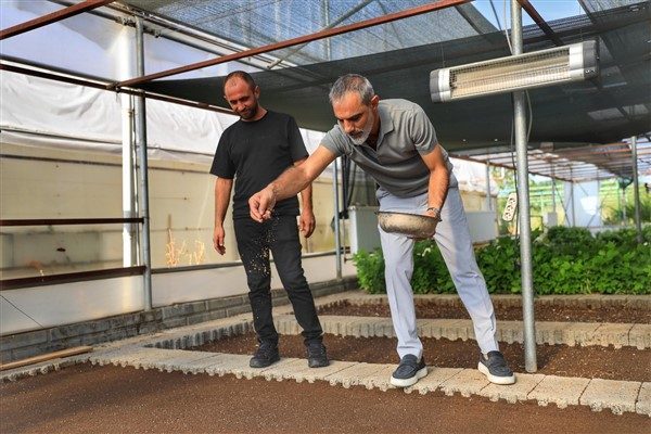 Park ve Bah&ccedil;eler M&uuml;d&uuml;rl&uuml;ğ&uuml; belediyeye ait Sera ve Fidanlık Sahası&rsquo;nda