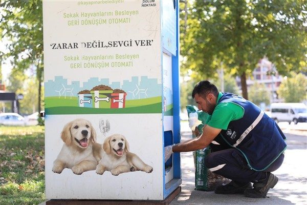 Park ve Bah&ccedil;eler M&uuml;d&uuml;rl&uuml;ğ&uuml; ekipleri yaz boyunca sokak hayvanları ve