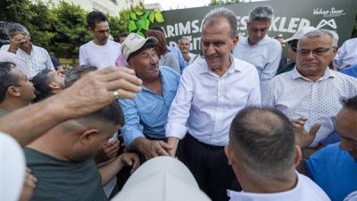 Mersin B&uuml;y&uuml;kşehir Belediyesi bu yıl ilk kez enginar yumrusu desteğini