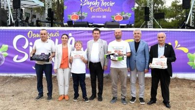 Osmangazi Belediyesi, d&uuml;nyaca &uuml;nl&uuml; siyah incir i&ccedil;in her yıl d&uuml;zenlediği