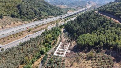 Merkezde sokak hayvanlarına y&ouml;nelik tedavi ve bakım hizmetlerinin yanı sıra