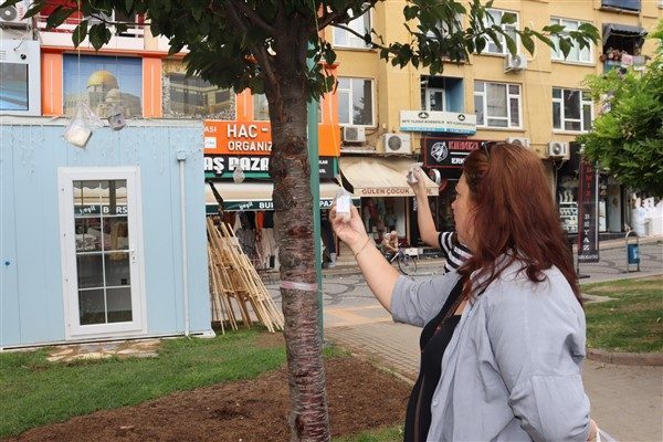 Pişmaniyenin ve kentin tanıtılması adına bu yıl 13&rsquo;nc&uuml;s&uuml; d&uuml;zenlenecek Uluslararası