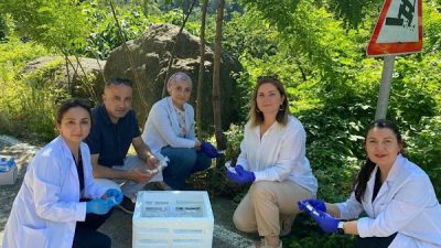 Samsun B&uuml;y&uuml;kşehir Belediyesi tarafından, tarıma destek &ccedil;alışmaları kapsamında Kahverengi kokarca