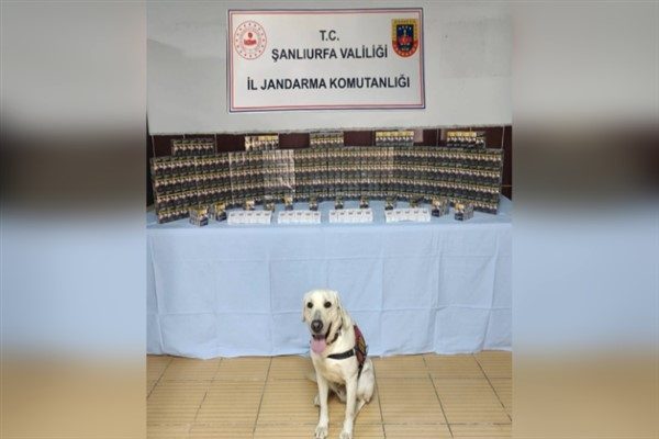 Şanlıurfa Valiliğinden s&ouml;z konusu &ccedil;alışmalara ilişkin yapılan a&ccedil;ıklamaya g&ouml;re 22.09.2025