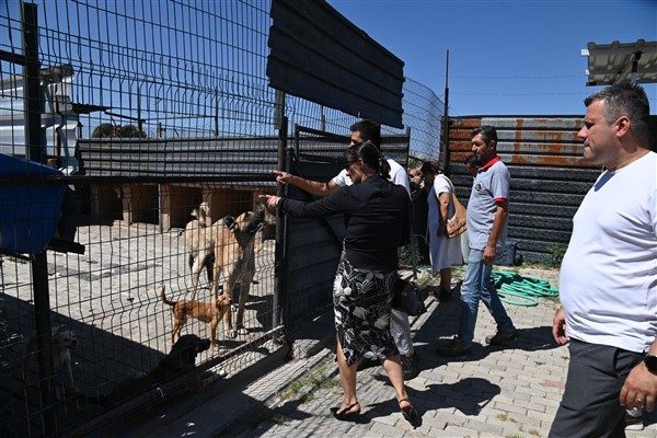 Manisa B&uuml;y&uuml;kşehir Belediye Meclisi Sokak Hayvanları Komisyonu, Kula&rsquo;da incelemelerde bulundu.