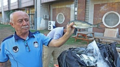 Zabıta ve g&uuml;venlik ekipleri tarafından yapılan kontrollerde, otob&uuml;sle usuls&uuml;z şekilde
