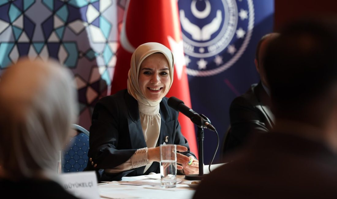 Aile ve Sosyal Hizmetler Bakanı G&ouml;ktaş, AK Parti Aydın İl