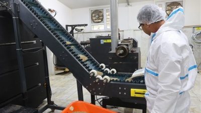 Kedi-K&ouml;pek Maması &Uuml;retim Tesisi bug&uuml;ne kadar yaklaşık 12 milyon TL