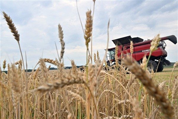 &Ccedil;in&rsquo;in her zaman uluslararası işbirliği yoluyla k&uuml;resel gıda g&uuml;venliğini iyileştirmeye