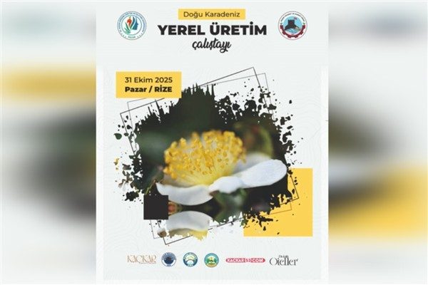 Doğu Karadeniz Yerel &Uuml;retim &Ccedil;alıştayı, Pazar Ticaret ve Sanayi Odası