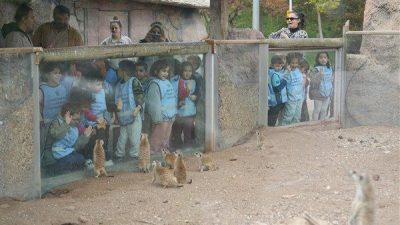 &Ccedil;ocuklar, kaplumbağalardan penguenlere, deve kuşundan egzotik kuşlara kadar bir&ccedil;ok hayvanı