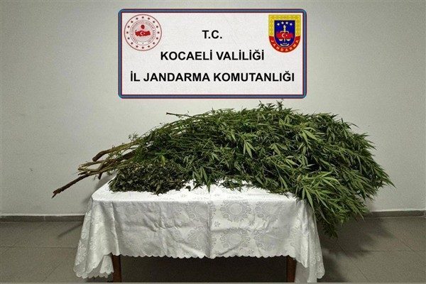 Kocaeli İl Jandarma Komutanlığı'nın, 14&ndash;24 Ekim tarihleri arasında İzmit, Kandıra