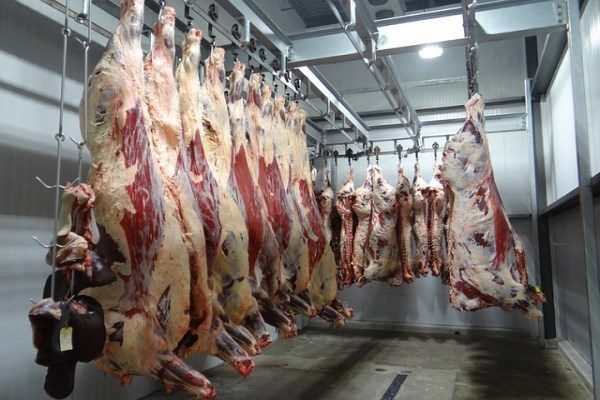Kamuyu Aydınlatma Platformuna (KAP) yapılan a&ccedil;ıklamada, ''2025 yılının 9 aylık