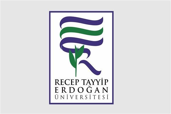 2020-2024 yıllarını kapsayan ve bug&uuml;n a&ccedil;ıklanan analizde RTE&Uuml;, 10 basamak