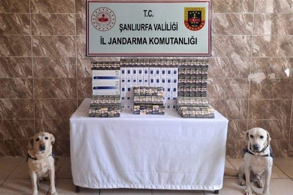 Şanlıurfa İl Jandarma Komutanlığı tarafından, t&uuml;t&uuml;n ve alkol ka&ccedil;ak&ccedil;ılarına y&ouml;nelik