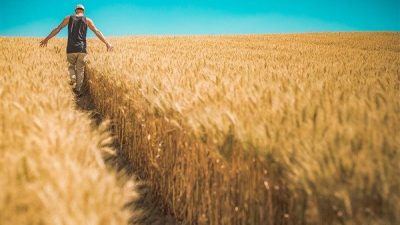 Tarım ve Orman Bakanı Yumaklı, destekleriyle &uuml;reticilerin y&uuml;reğine umut, toprağa