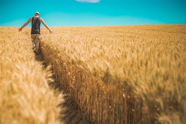 Tarım ve Orman Bakanı Yumaklı, destekleriyle &uuml;reticilerin y&uuml;reğine umut, toprağa