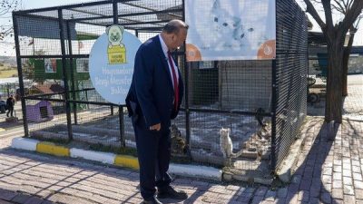 Belediye b&uuml;nyesindeki hayvan barınaklarında bakımı yapılan kedi ve k&ouml;peklerin sahiplenilmesi