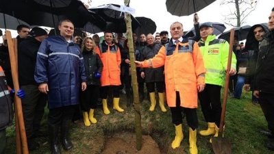 İstanbul B&uuml;y&uuml;kşehir Belediyesi (İBB), 39 il&ccedil;ede eş zamanlı ağa&ccedil; dikim