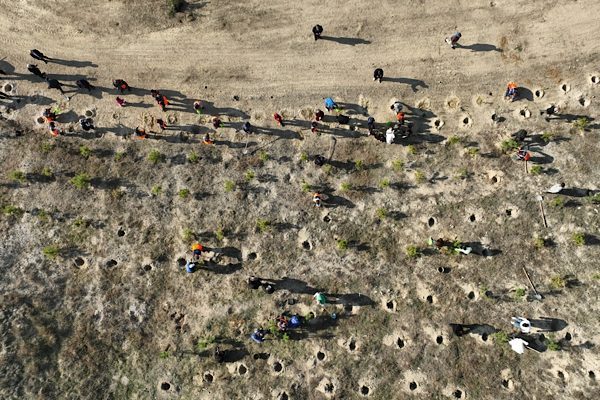 Mamak Belediyesi tarafından , 11 Kasım Milli Ağa&ccedil;landırma G&uuml;n&uuml; kapsamında