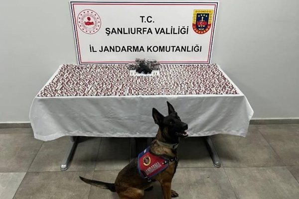 Şanlıurfa İl Jandarma Komutanlığı tarafından, narkotik su&ccedil;larla m&uuml;cadele kapsamında Haliliye