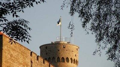 Estonya Dışişleri Bakanı Tsahkna, dış hizmetlerinin g&ouml;revinin, diplomasi yoluyla g&uuml;venliklerini