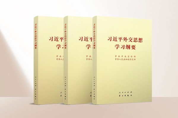 Toplam 14 b&ouml;l&uuml;mden ve 103 bin karakterten oluşan kitap, Xi