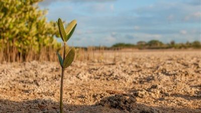 T&uuml;rkiye İstatistik Kurumu&rsquo;nun (T&Uuml;İK) verilerine g&ouml;re, &ccedil;evre koruma harcamaları 2024