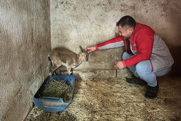 Doğa Koruma ve Milli Parklar Finike Şefliği ekipleri tarafından belediyeye
