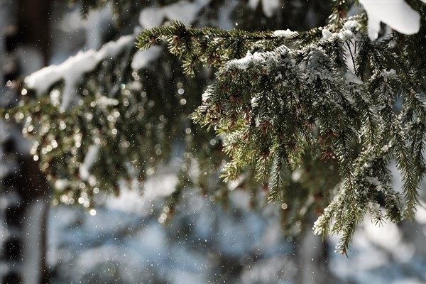 Meteoroloji Genel M&uuml;d&uuml;rl&uuml;ğ&uuml;&rsquo;n&uuml;n a&ccedil;ıklamasına g&ouml;re (MGM), Erzurum ve Kars &ccedil;evrelerinde