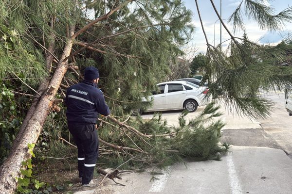 Sapanca Belediyesi Fen İşleri ve Park Bah&ccedil;eler M&uuml;d&uuml;rl&uuml;ğ&uuml; ekipleri tarafından