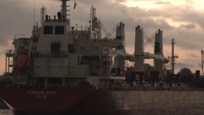 &Ouml;nerilen yeni vergiler bir başkanlık kararnamesinde &ouml;zetlendi, ancak belirli g&uuml;mr&uuml;k