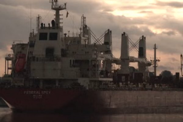 &Ouml;nerilen yeni vergiler bir başkanlık kararnamesinde &ouml;zetlendi, ancak belirli g&uuml;mr&uuml;k