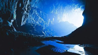 Frontiers in Microbiology'de yayınlanan yeni bir &ccedil;alışmaya g&ouml;re, Purcarea ve