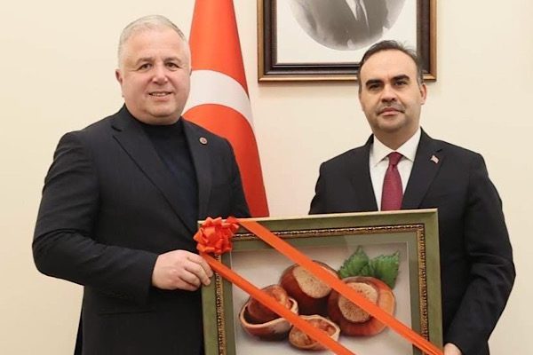 Giresun Belediye Başkan Vekili Alptuğ Kaan Kara, Sanayi ve Ticaret