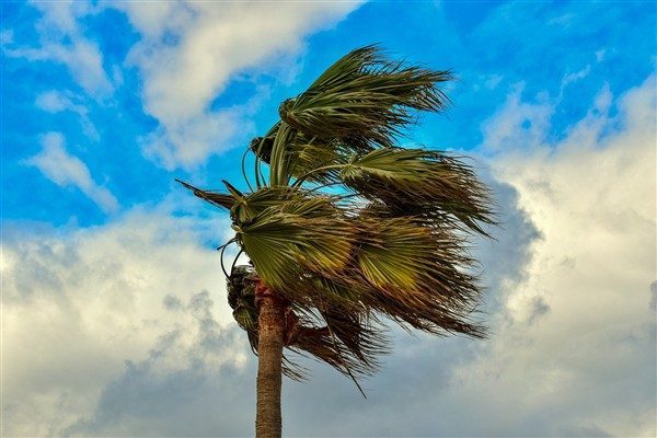 Meteoroloji Genel M&uuml;d&uuml;rl&uuml;ğ&uuml;&rsquo;nden yapılan a&ccedil;ıklamada r&uuml;zgarın akşam saatlerinden sonra Kırşehir