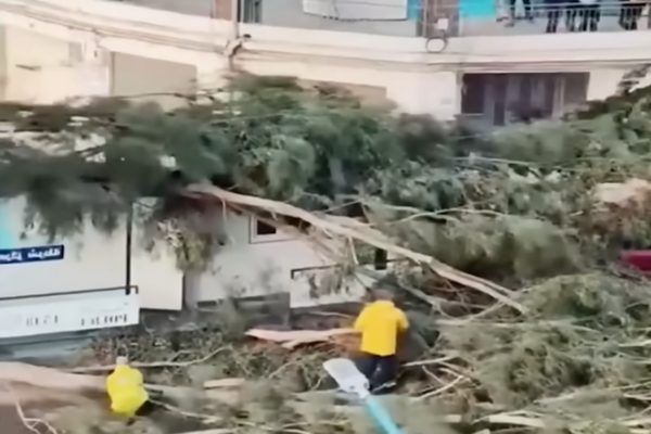Maria Lucia Amaral, "g&ouml;revde devam etmek i&ccedil;in gerekli kişisel veya