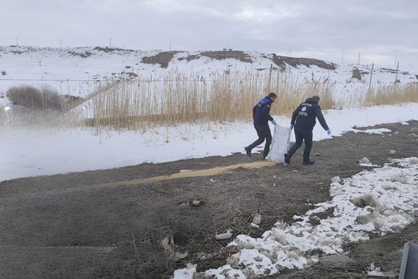 Van B&uuml;y&uuml;kşehir Belediyesi Zabıta Dairesi Başkanlığı ekipleri, Erciş il&ccedil;e kırsalı