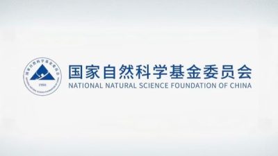 &Ccedil;in Cumhurbaşkanı Xi Jinping, temel araştırmaların daha stratejik, ileriye d&ouml;n&uuml;k