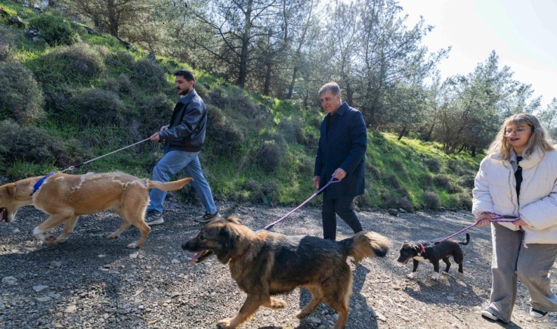 İzmir Büyükşehir Belediyesi bünyesinde faaliyet gösteren Veteriner İşleri Dairesi Başkanlığı