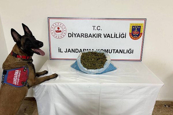 İl genelinde ve ilçelerde icra edilen bu faaliyetler sonucunda 22