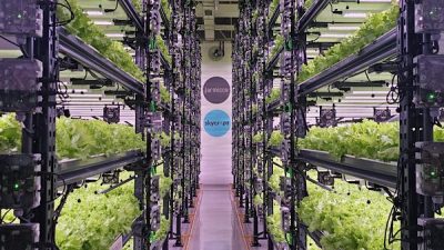 Tamamı yerli mühendislik ve yatırımla geliştirilen Farmicca, iklim kontrollü dikey