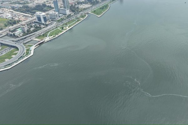 İzmir Büyükşehir Belediyesi tarafından İzmir Körfezi’nde dron desteğiyle yürütülen rutin