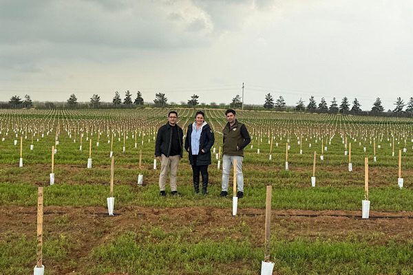 Harran Üniversitesi Ziraat Fakültesi ile TİGEM Ceylanpınar İşletmesi iş birliğiyle